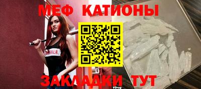 мяу мяу мука Будённовск