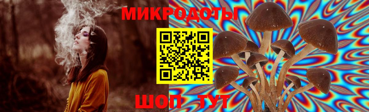 Полысаево  Галлюциногенные грибы Magic Shrooms  Псилоцибиновые грибы Psilocybe  Вход с VPN 